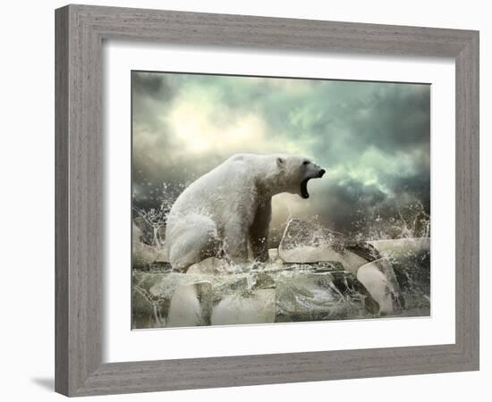 White Polar Bear Hunter on the Ice in Water Drops.-Andrey Yurlov-Framed Photographic Print