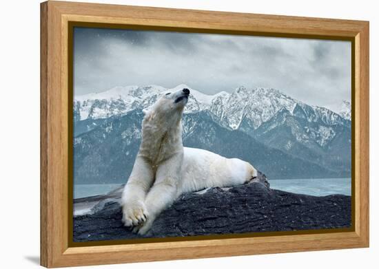 White Polar Bear on the Ice-yuran-78-Framed Premier Image Canvas