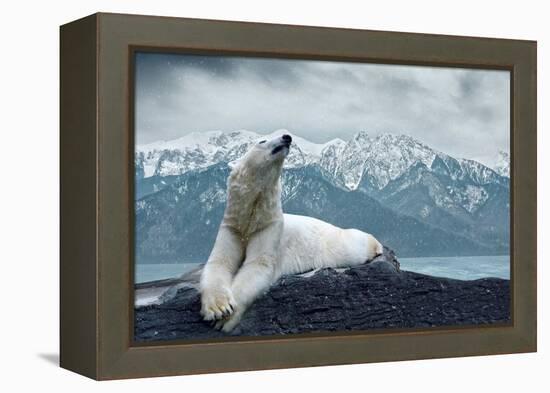 White Polar Bear on the Ice-yuran-78-Framed Premier Image Canvas