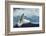 White Polar Bear on the Ice-yuran-78-Framed Photographic Print