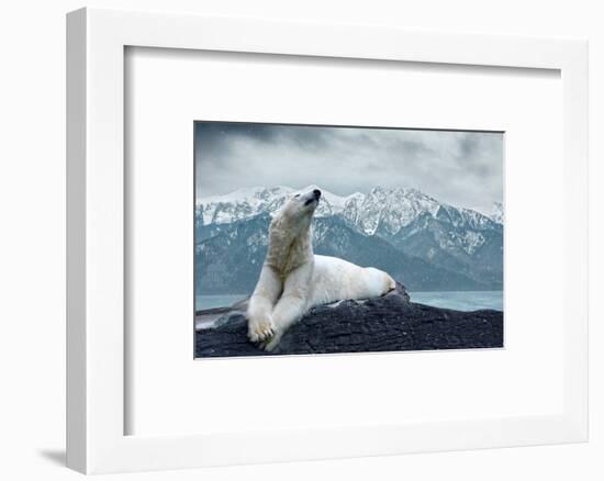 White Polar Bear on the Ice-yuran-78-Framed Photographic Print