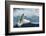 White Polar Bear on the Ice-yuran-78-Framed Photographic Print