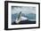 White Polar Bear on the Ice-yuran-78-Framed Photographic Print