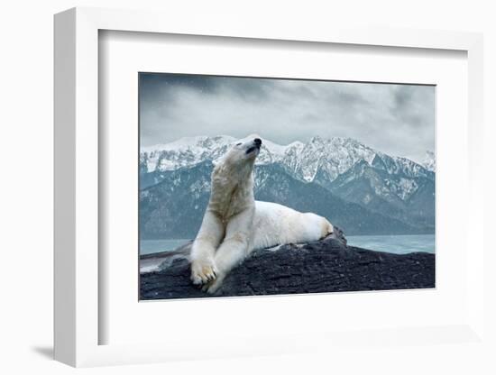 White Polar Bear on the Ice-yuran-78-Framed Photographic Print