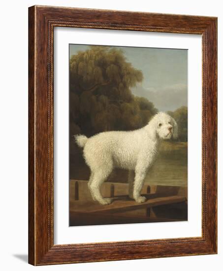 White Poodle in a Punt, 1780-George Stubbs-Framed Art Print