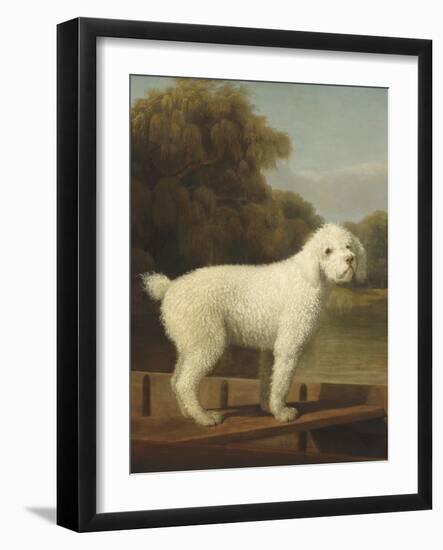 White Poodle in a Punt, 1780-George Stubbs-Framed Art Print