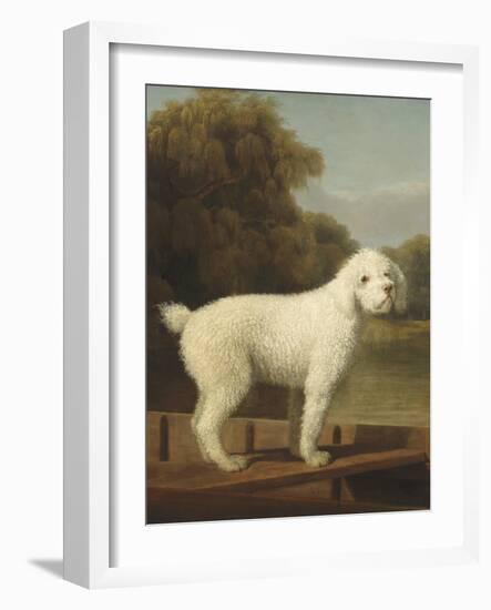 White Poodle in a Punt, 1780-George Stubbs-Framed Art Print