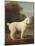 White Poodle in a Punt, 1780-George Stubbs-Mounted Art Print