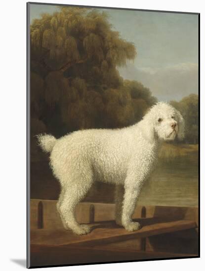White Poodle in a Punt, 1780-George Stubbs-Mounted Art Print