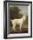 White Poodle in a Punt, 1780-George Stubbs-Framed Art Print