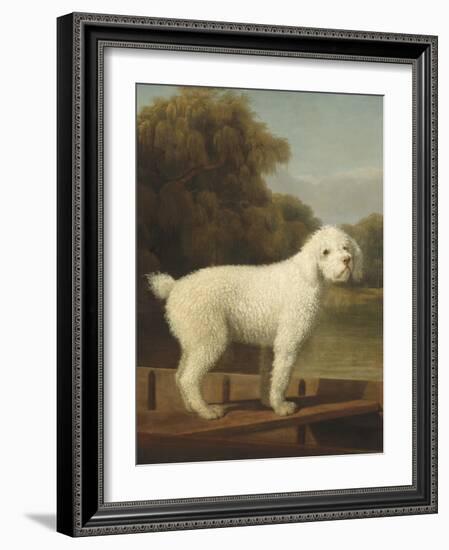 White Poodle in a Punt, 1780-George Stubbs-Framed Art Print