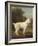 White Poodle in a Punt, 1780-George Stubbs-Framed Art Print