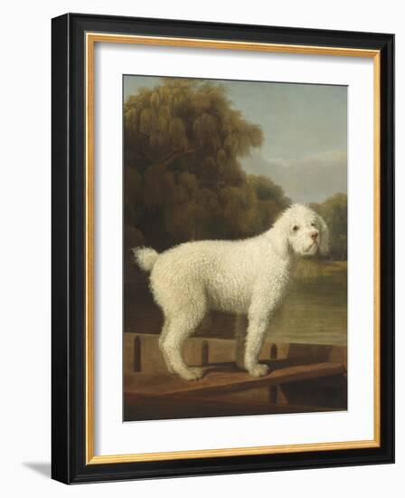 White Poodle in a Punt, 1780-George Stubbs-Framed Art Print