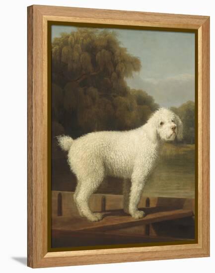 White Poodle in a Punt, 1780-George Stubbs-Framed Stretched Canvas