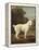 White Poodle in a Punt, 1780-George Stubbs-Framed Stretched Canvas