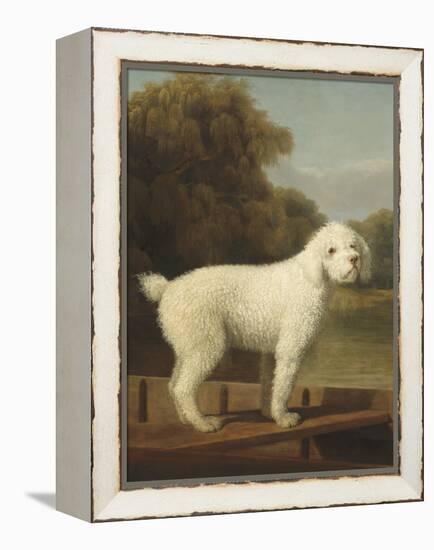 White Poodle in a Punt, 1780-George Stubbs-Framed Stretched Canvas