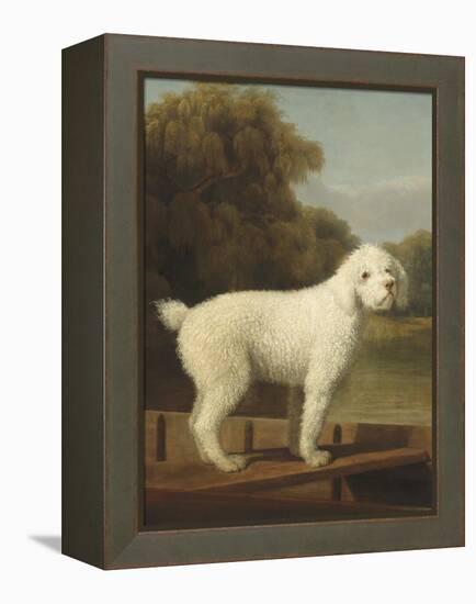 White Poodle in a Punt, 1780-George Stubbs-Framed Stretched Canvas