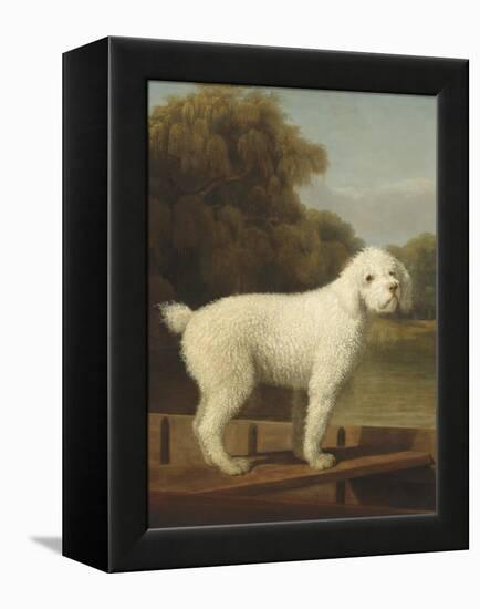 White Poodle in a Punt, 1780-George Stubbs-Framed Stretched Canvas