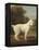 White Poodle in a Punt, 1780-George Stubbs-Framed Stretched Canvas