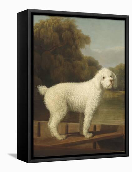 White Poodle in a Punt, 1780-George Stubbs-Framed Stretched Canvas