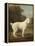 White Poodle in a Punt, 1780-George Stubbs-Framed Stretched Canvas