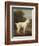 White Poodle in a Punt, by George Stubbs, 1780, British painting,-George Stubbs-Framed Art Print