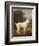 White Poodle in a Punt, by George Stubbs, 1780, British painting,-George Stubbs-Framed Art Print