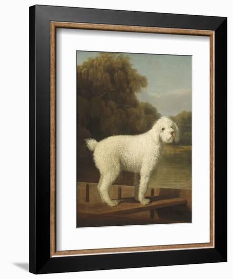 White Poodle in a Punt, by George Stubbs, 1780, British painting,-George Stubbs-Framed Art Print