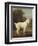 White Poodle in a Punt, by George Stubbs, 1780, British painting,-George Stubbs-Framed Art Print