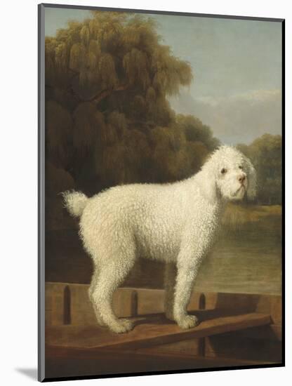 White Poodle in a Punt, by George Stubbs, 1780, British painting,-George Stubbs-Mounted Art Print