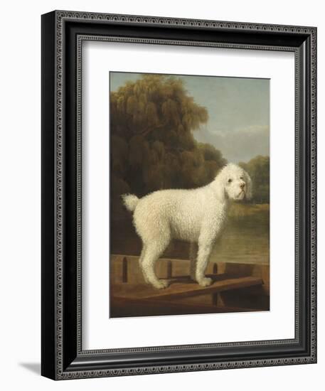 White Poodle in a Punt, by George Stubbs, 1780, British painting,-George Stubbs-Framed Art Print