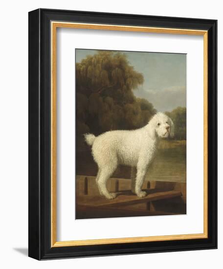 White Poodle in a Punt, by George Stubbs, 1780, British painting,-George Stubbs-Framed Art Print