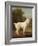 White Poodle in a Punt, C.1780 (Oil on Canvas)-George Stubbs-Framed Giclee Print