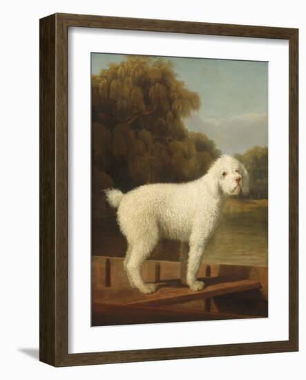 White Poodle in a Punt, C.1780 (Oil on Canvas)-George Stubbs-Framed Giclee Print