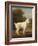White Poodle in a Punt, C.1780 (Oil on Canvas)-George Stubbs-Framed Giclee Print