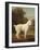 White Poodle in a Punt, C.1780 (Oil on Canvas)-George Stubbs-Framed Giclee Print