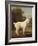 White Poodle in a Punt, C.1780 (Oil on Canvas)-George Stubbs-Framed Giclee Print