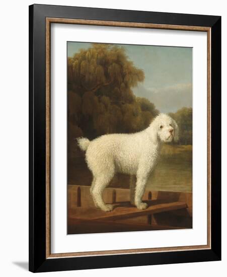 White Poodle in a Punt, C.1780 (Oil on Canvas)-George Stubbs-Framed Giclee Print