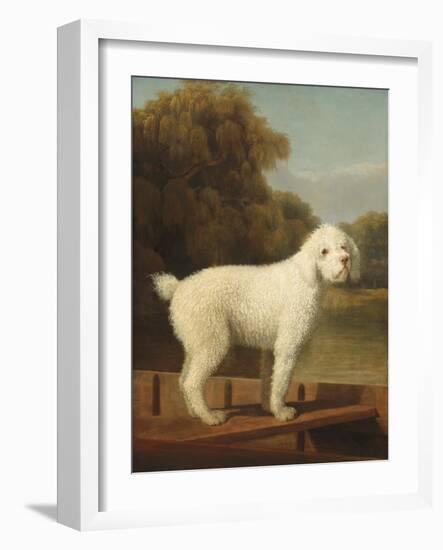 White Poodle in a Punt, C.1780 (Oil on Canvas)-George Stubbs-Framed Giclee Print