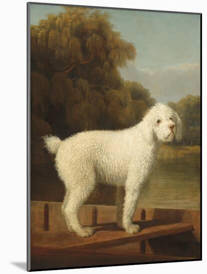 White Poodle in a Punt, C.1780 (Oil on Canvas)-George Stubbs-Mounted Giclee Print