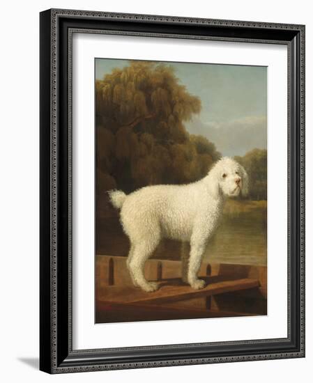 White Poodle in a Punt, C.1780 (Oil on Canvas)-George Stubbs-Framed Giclee Print