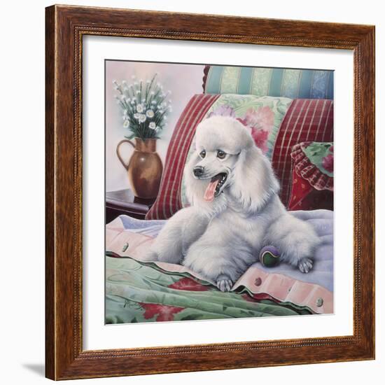 White Poodle-Jenny Newland-Framed Giclee Print