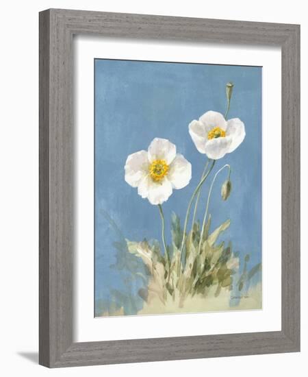 White Poppies I No Butterfly-Danhui Nai-Framed Art Print