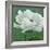 White Poppy-John Zaccheo-Framed Giclee Print