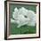 White Poppy-John Zaccheo-Framed Giclee Print