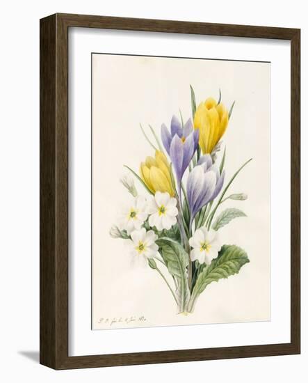 White Primroses and Early Hybrid Crocuses, 1830-Louise D'Orleans-Framed Giclee Print