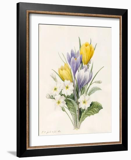 White Primroses and Early Hybrid Crocuses, 1830-Louise D'Orleans-Framed Giclee Print