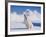 White Puppy in Snow-null-Framed Photographic Print