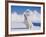 White Puppy in Snow-null-Framed Photographic Print