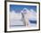 White Puppy in Snow-null-Framed Photographic Print